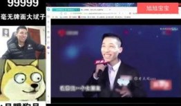 柳州最新爆料新闻直播回放,直播回放揭示惊人真相！