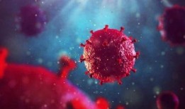 新冠病毒变异最新爆料,突变株解析与全球防控策略