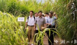 围场二中爆料事件视频最新,真相揭开，家长学生热议