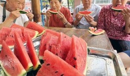 临泉吃瓜最新事件爆料是真的吗,最新爆料真相揭秘