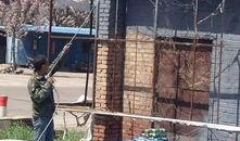 彩塘违建最新爆料,揭秘违规建筑背后的真相