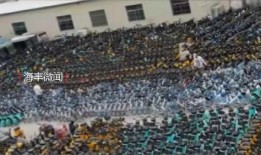 最新海丰爆料,揭秘背后惊人真相