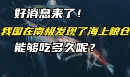 南极最新爆料消息,揭秘未知的冰原奥秘