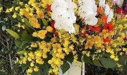 花篮网爆料最新消息,最新热点事件深度解析