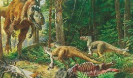 恐龙时代赛季爆料最新,揭秘新纪元，探寻神秘恐龙传奇