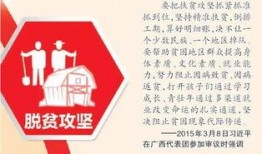 广西民间媒体爆料案件最新,神秘案件背后真相逐渐浮出水面