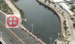 最新海丰爆料,揭秘背后惊人真相