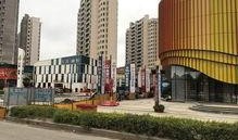 张继聪最新动态爆料,跨界发展背后的心路历程