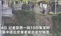 莆田小孩爆料案件最新,揭开校园霸凌背后的惊人真相